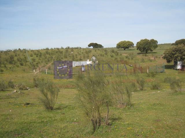 Finca rústica en Venta en Trujillo
