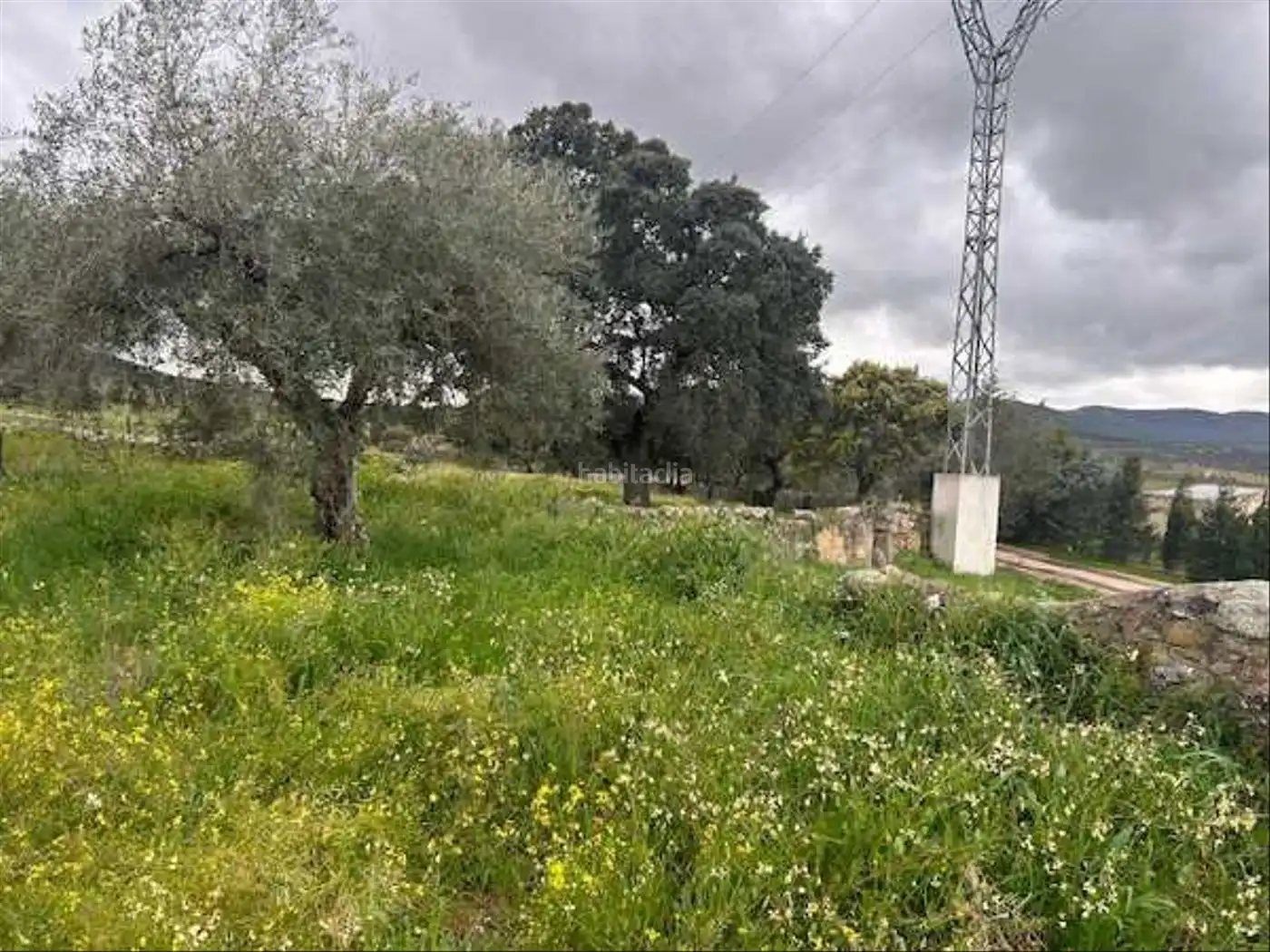Terreni e lotti in vendita a Calle José Barrero Alcalde 15, imagen 11