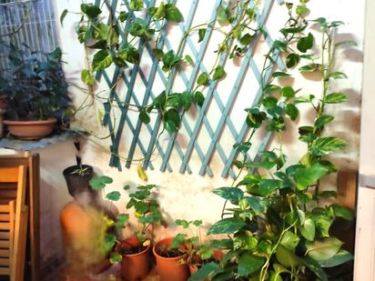 Jardí de Pis en venda en  Palma de Mallorca amb Aire condicionat, Terrassa i Balcó