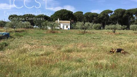 Foto 2 de Finca rústica en venda a Almonte ciudad, Almonte