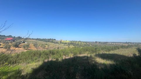 Foto 4 de Residencial en venta en Gibraleón, Huelva