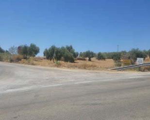 Land for sale in Marmolejo