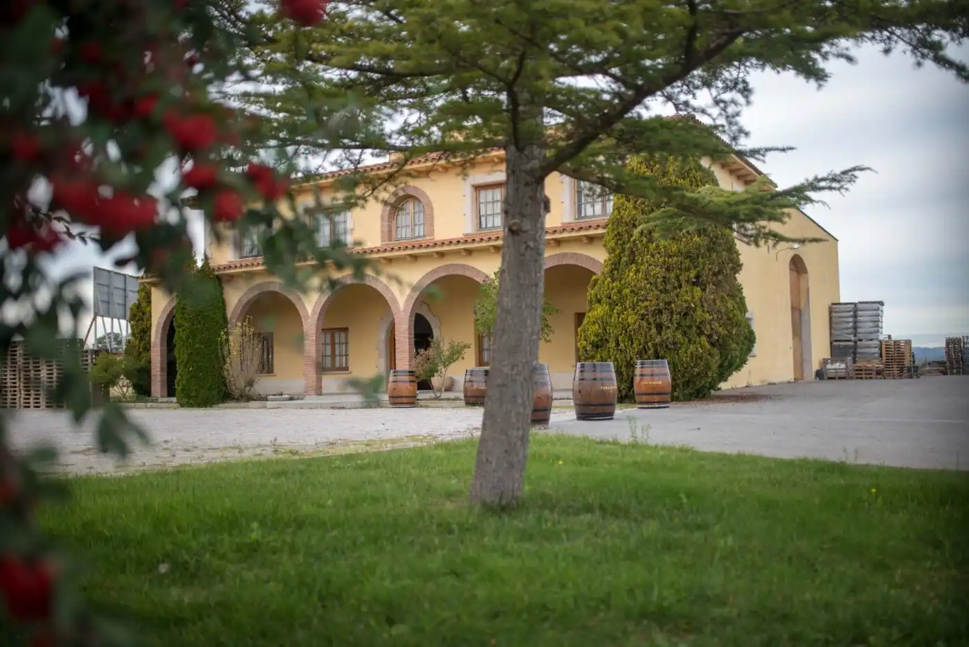 Vista exterior de Finca rústica en venta en Santa Fe del Penedès
