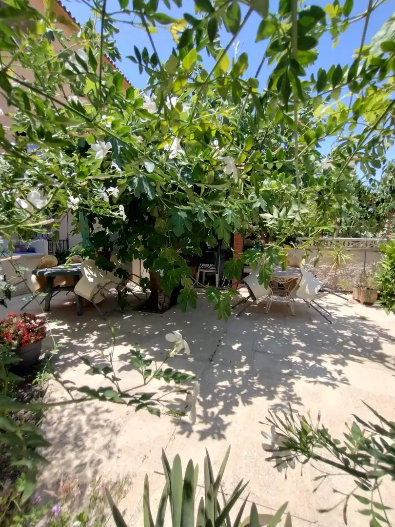 Terraced house with pool for sale in Juzgados - Plaza de Toros, imagen 16