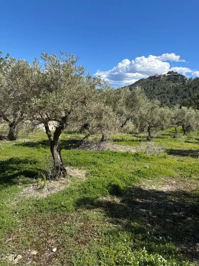Grundstücke zum Verkauf in Beniardà