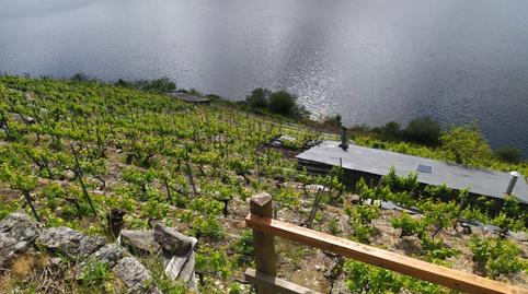 Foto 2 de Finca rústica en venda a O Saviñao , Lugo