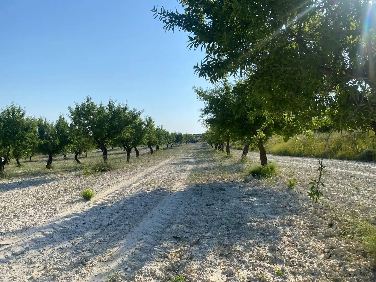 Villa à vendre à Moratalla, imagen 87
