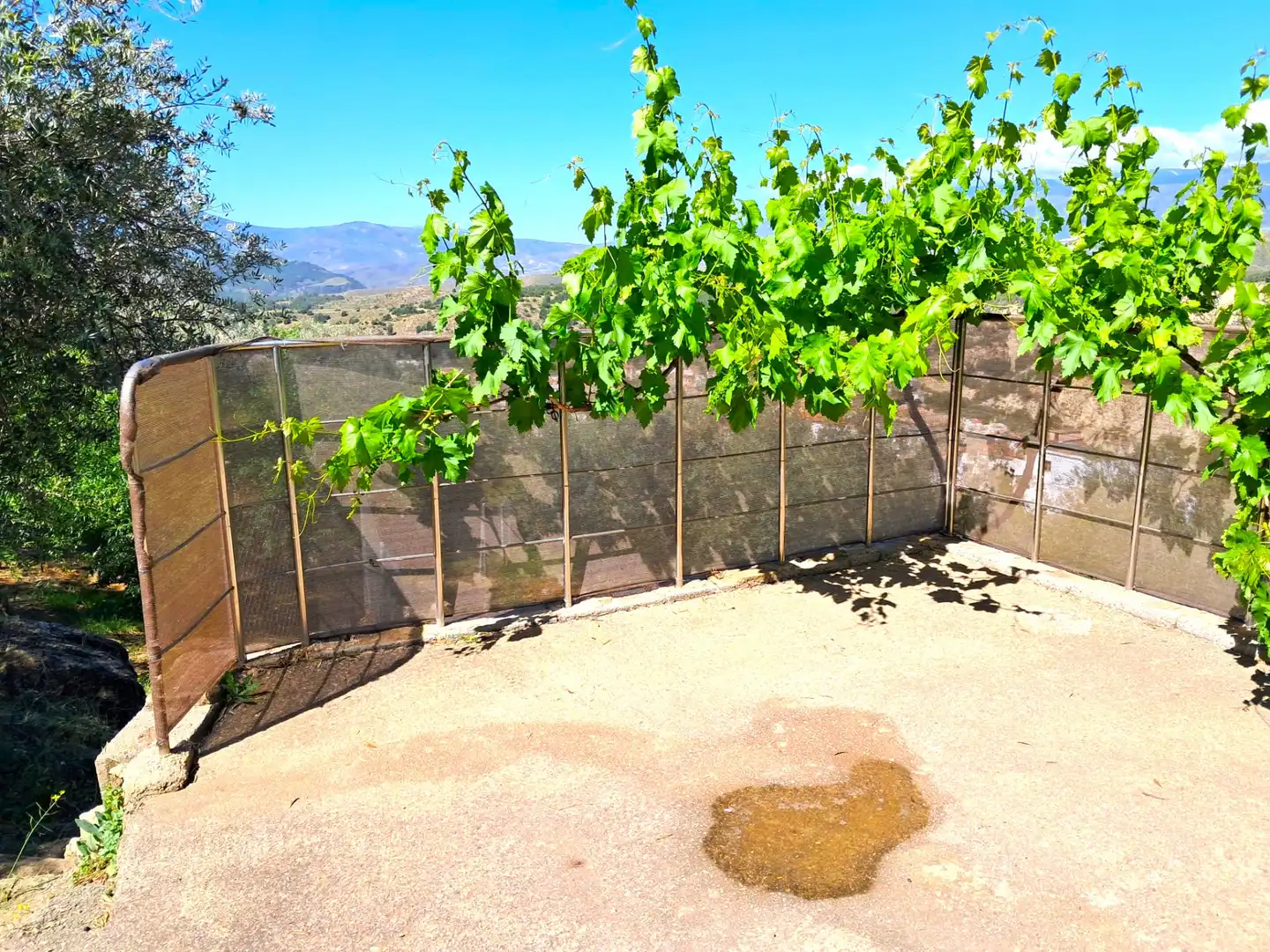 Jardí de Finca rústica en venda en Alcolea amb Aire condicionat, Jardí privat i Piscina