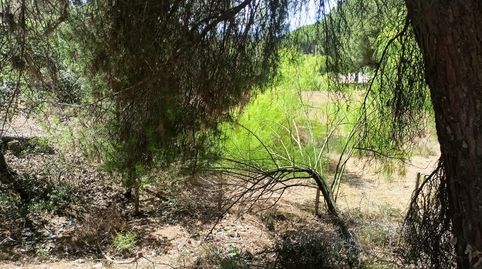 Foto 3 de Residencial en venta en Cm Campamento, Cerro Muriano, Córdoba Capital