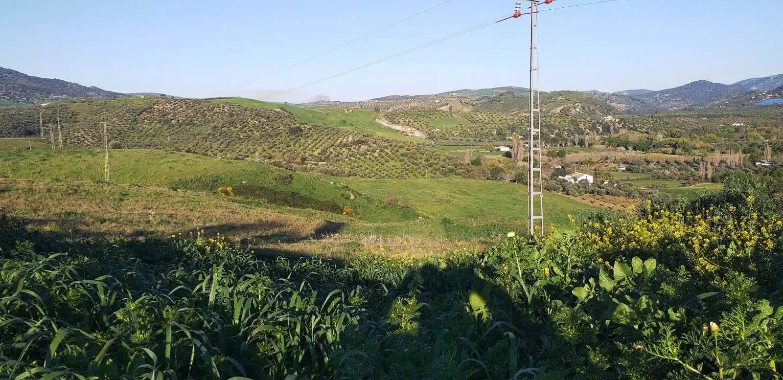 Terreny rústic en venda a Zahara, imagen 5