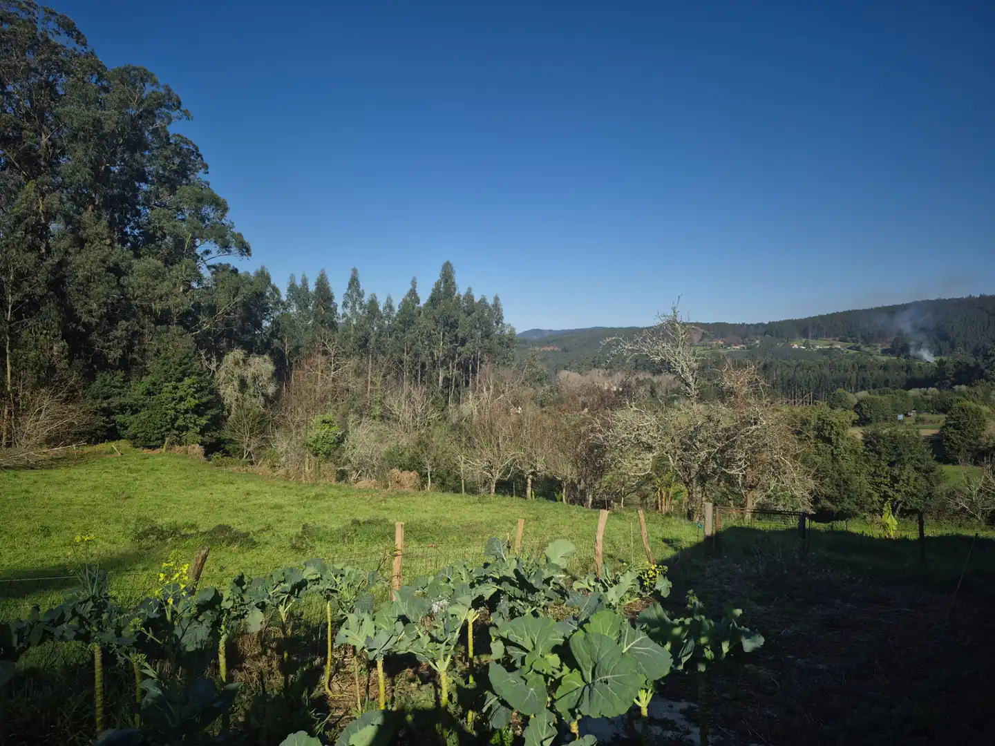 Chalet con jardín en venta en Lugar Vilar 1, imagen 43
