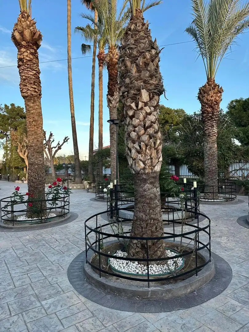 Terrace of Houses for sale in San Vicente del Raspeig / Sant Vicent del Raspeig