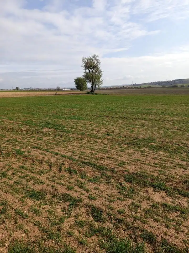 Terrenys i solars en venda a Aldehuela, imagen 4
