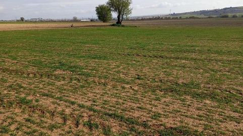 Foto 4 de Terreno en venta en Aldehuela, Tarancón, Cuenca