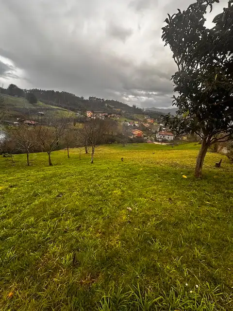 Haus mit Garten zum Verkauf in Aldea de Bances 71, imagen 4