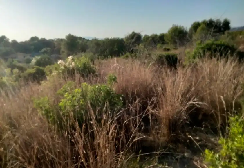 Terreno en venta en Torrent