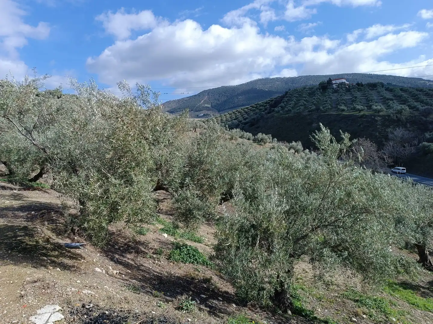 Casa rústica amb jardí en venda a Puente Jontoya - Puente de la Sierra - El Arroyo, imagen 20