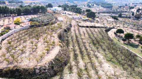 Foto 5 de Terreno en venta en Partida Foietes, 53, Ibi, Alicante