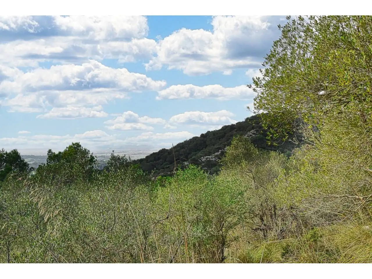 Wohnbaugrundstück zum Verkauf in Poligono 34 1254, imagen 13