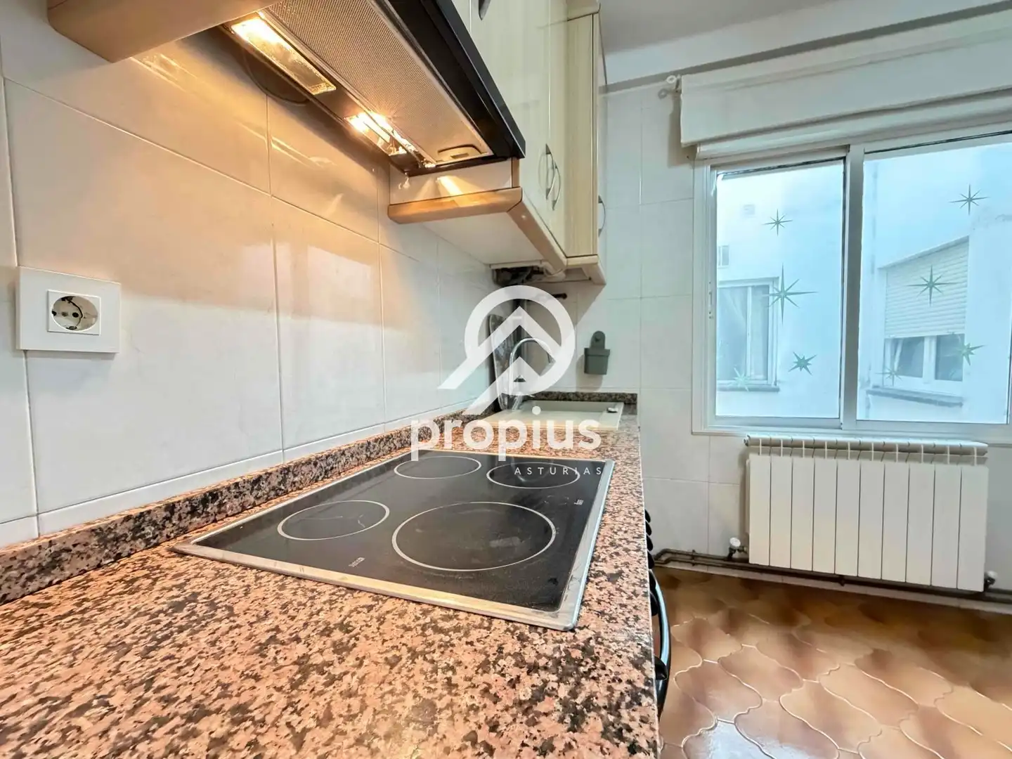 Küche von Wohnung zum Verkauf in Oviedo  mit Heizung, Abstellraum und Möbliert