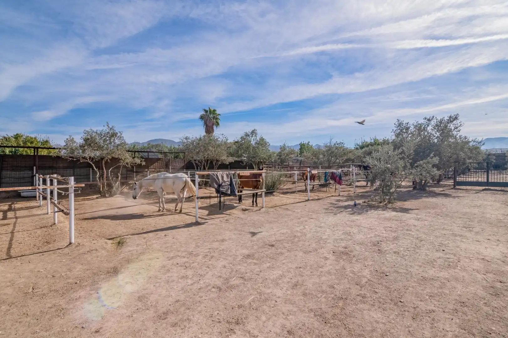Vista exterior de Finca rústica en venta en La Zubia