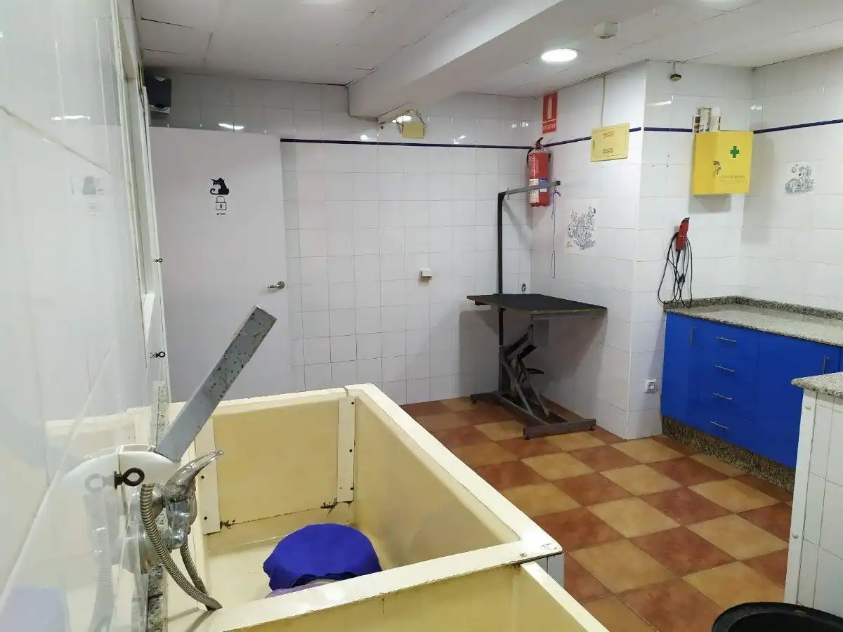 Local comercial en venda a Canals, imagen 13