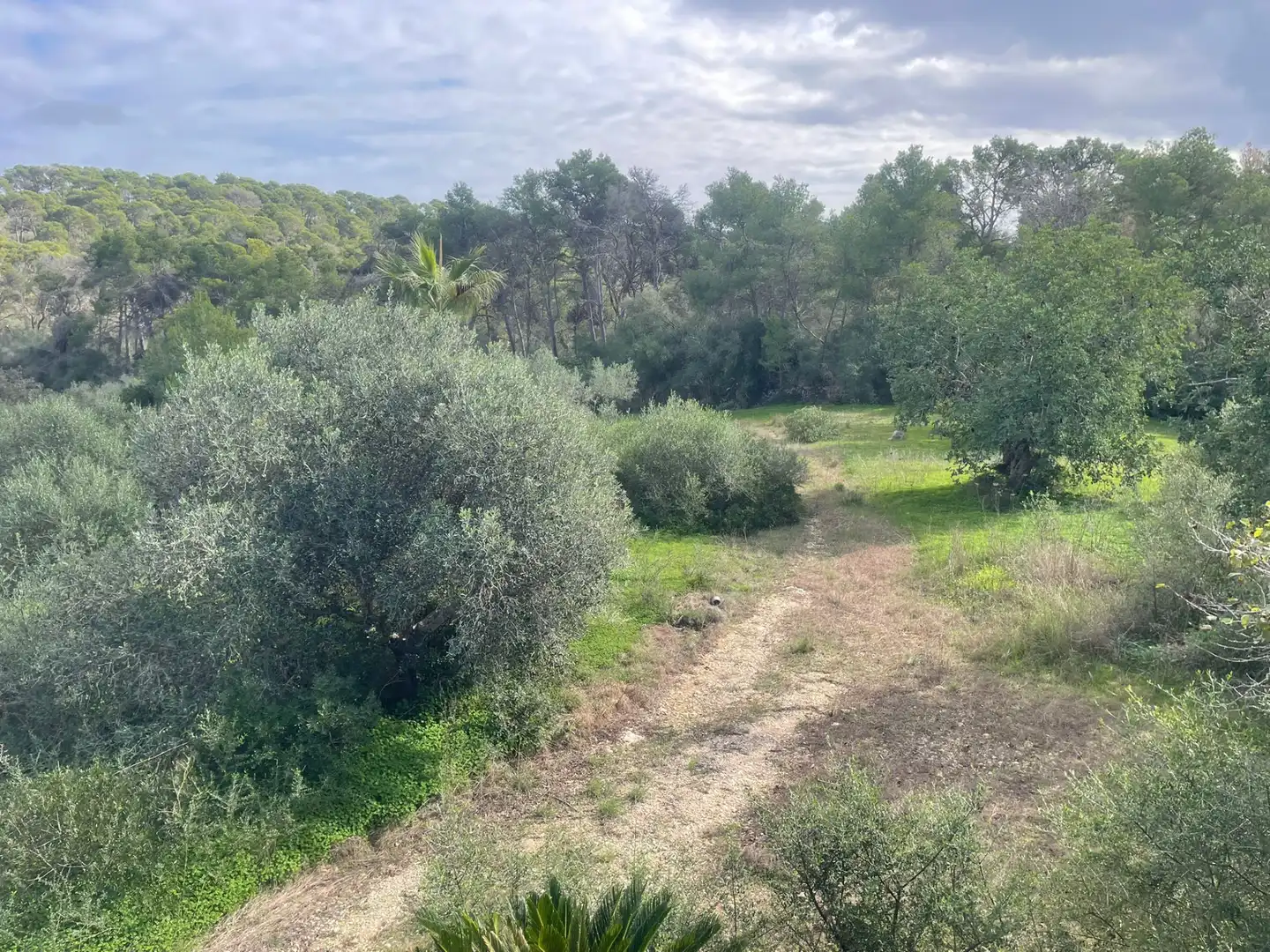 Casa amb jardí en venda a Manacor Centre, imagen 24