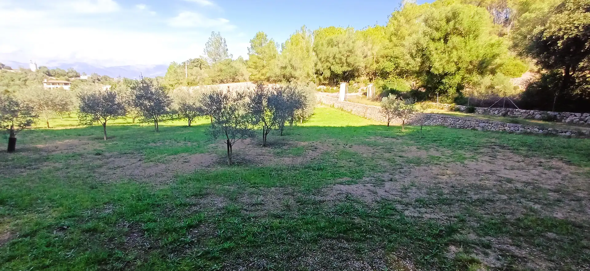 Terrain rustique à vendre à Costitx, imagen 7