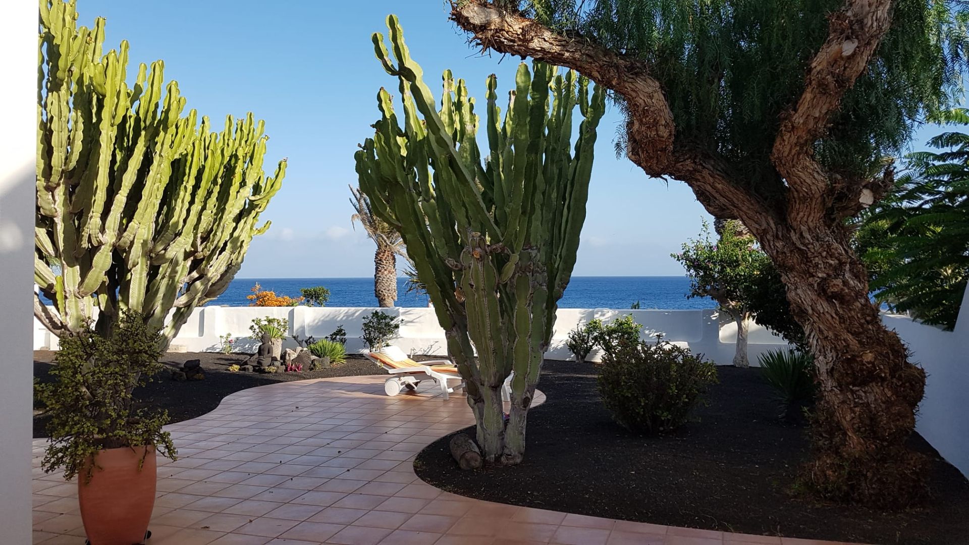 Jardí de Casa o xalet en venda en Teguise amb Jardí privat, Terrassa i Moblat