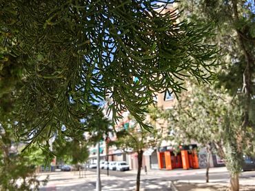 Flat with lift for sale in Calle de Nuestra Señora del Salz