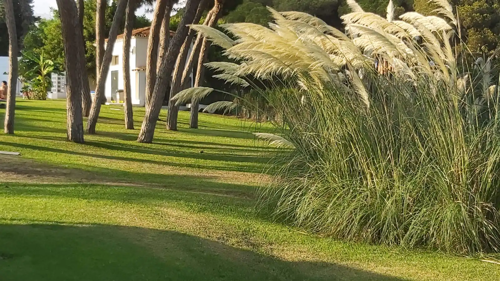 Exterior view of Flat for sale in Mijas  with Storage room, Furnished and Oven