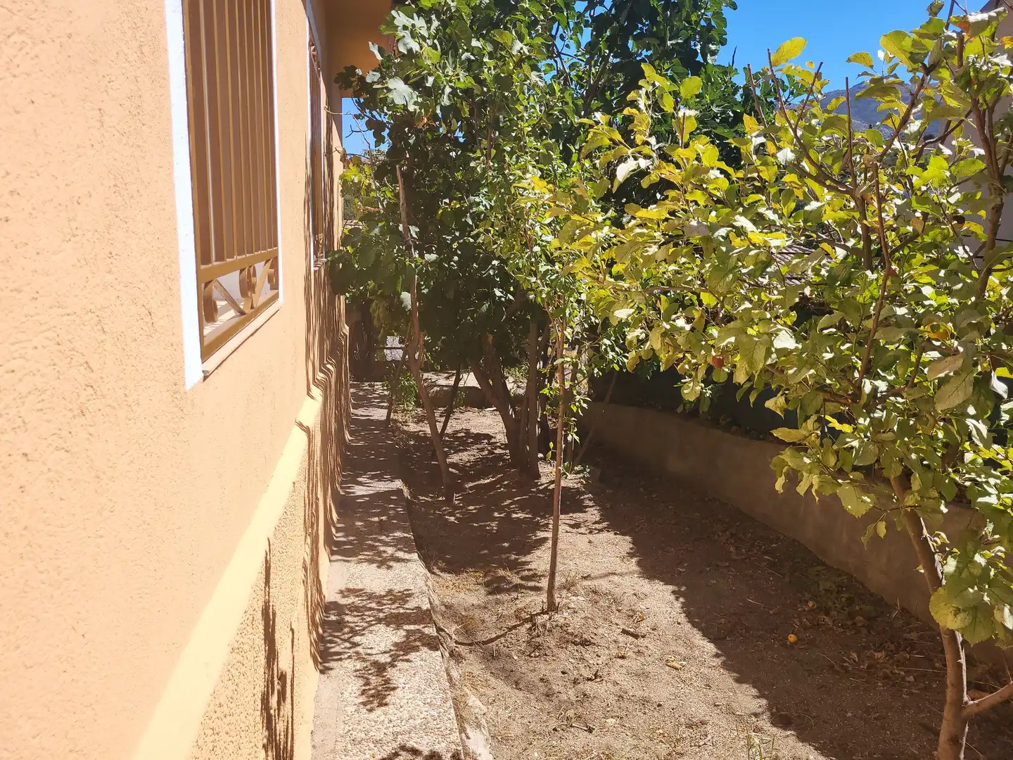 Jardí de Casa o xalet en venda en Burgohondo amb Jardí privat i Traster