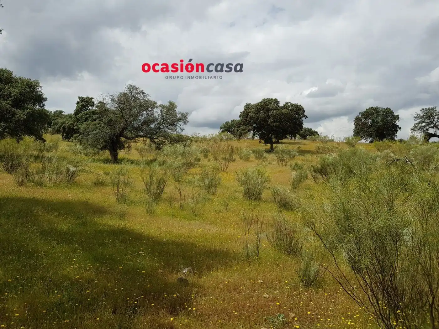 Finca rústica en venta en Torrecampo