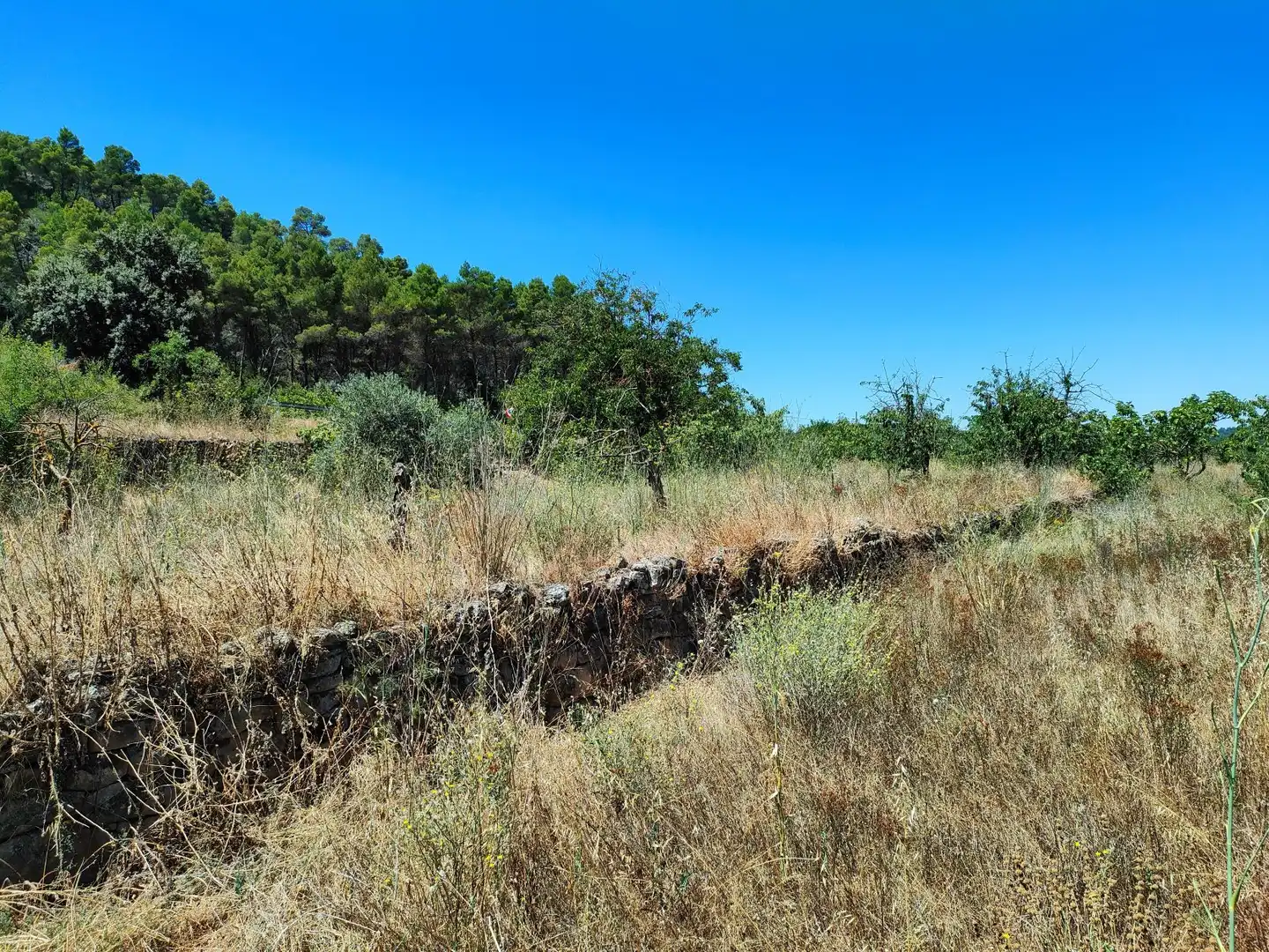 Finca rústica en venta en Valderrobres