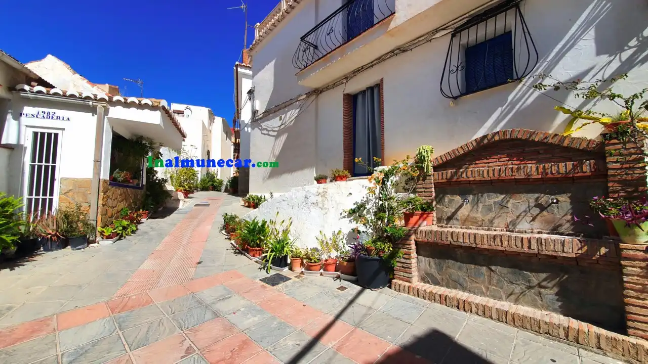 Exterior view of Houses for sale in Lentegí  with Terrace and Storage room