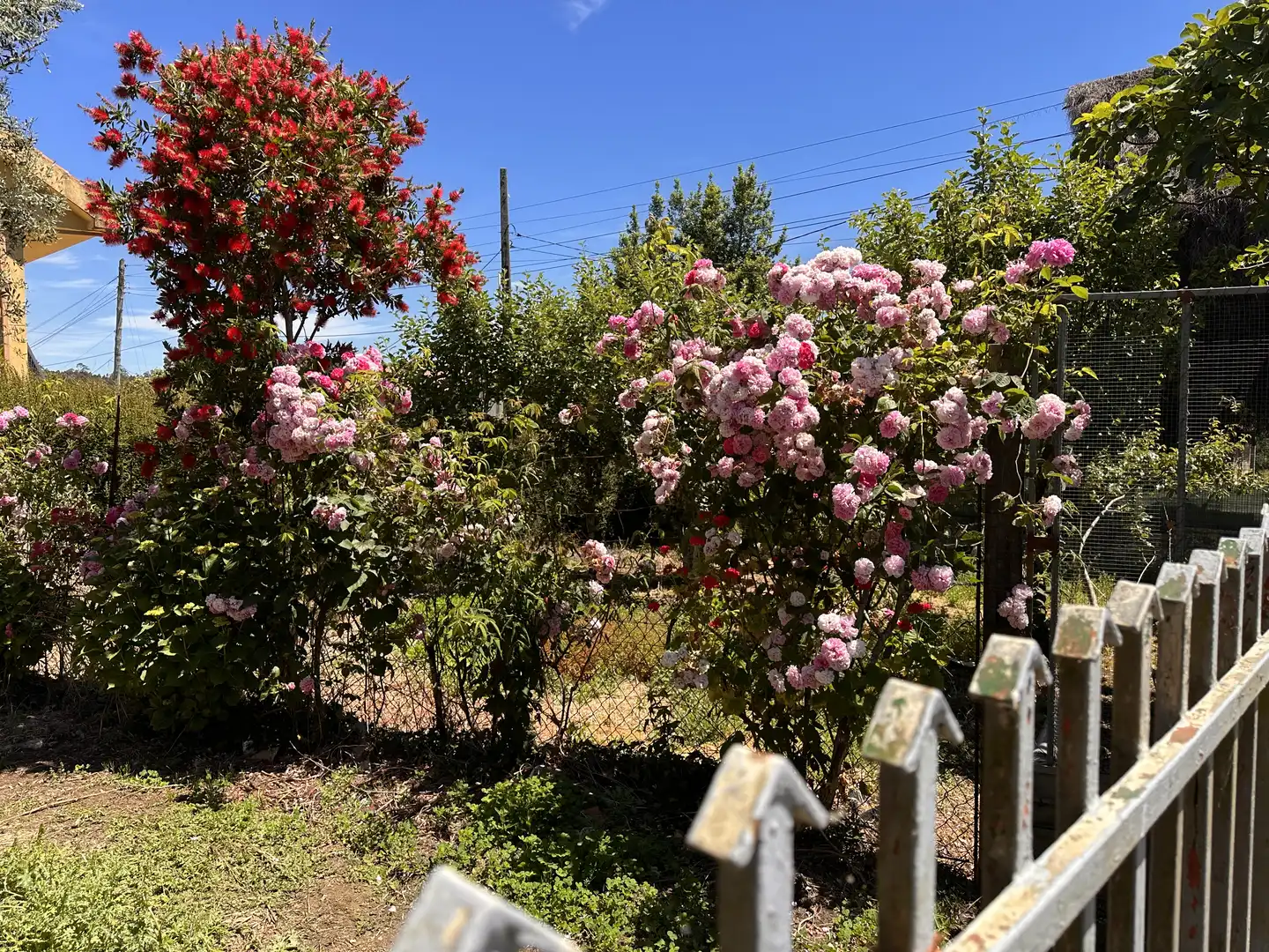 Maison mitoyenne à vendre à Negreira, imagen 3