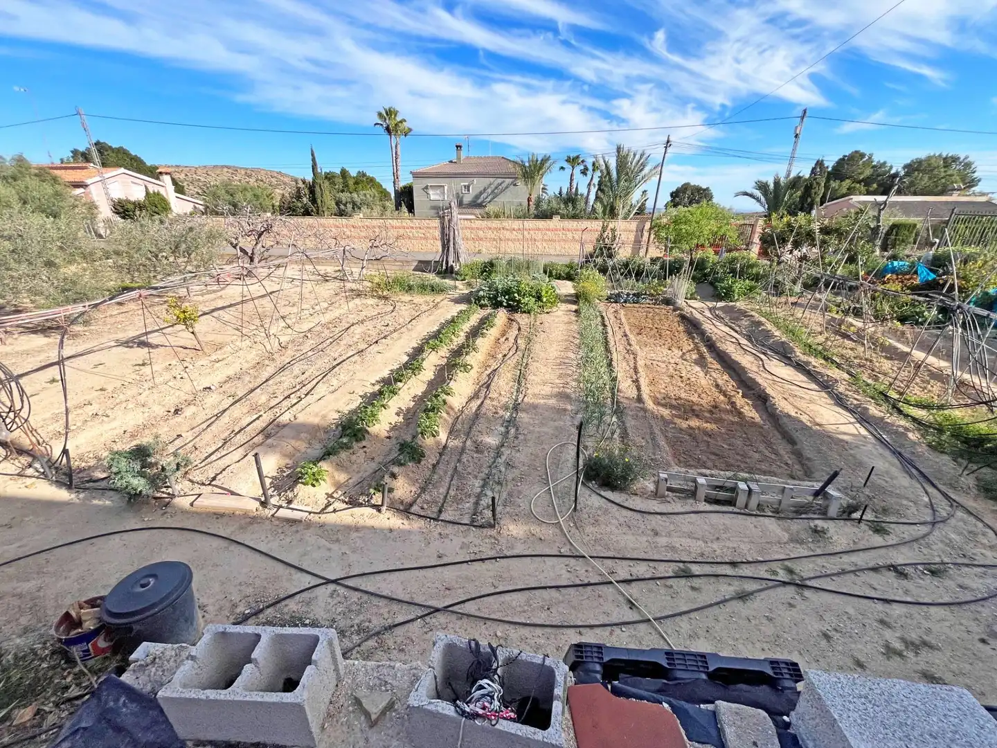 Jardín de Finca rústica en venta en Elche / Elx con Terraza
