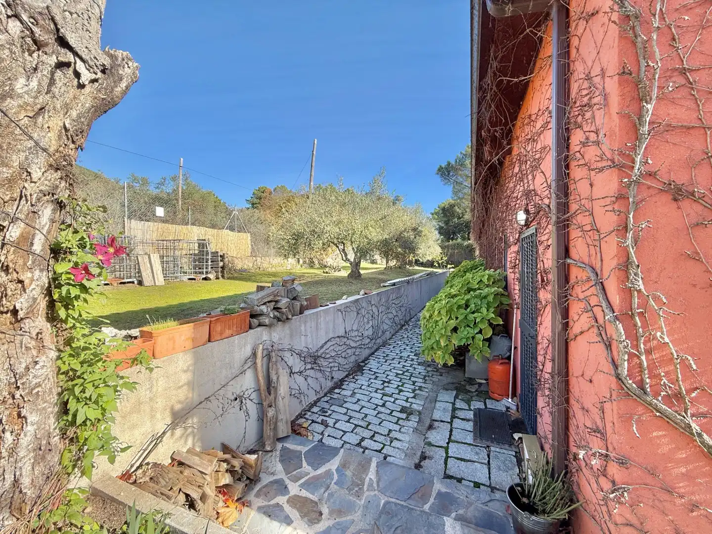 Vista exterior de Finca rústica en venta en Piedralaves con Jardín privado, Terraza y Trastero