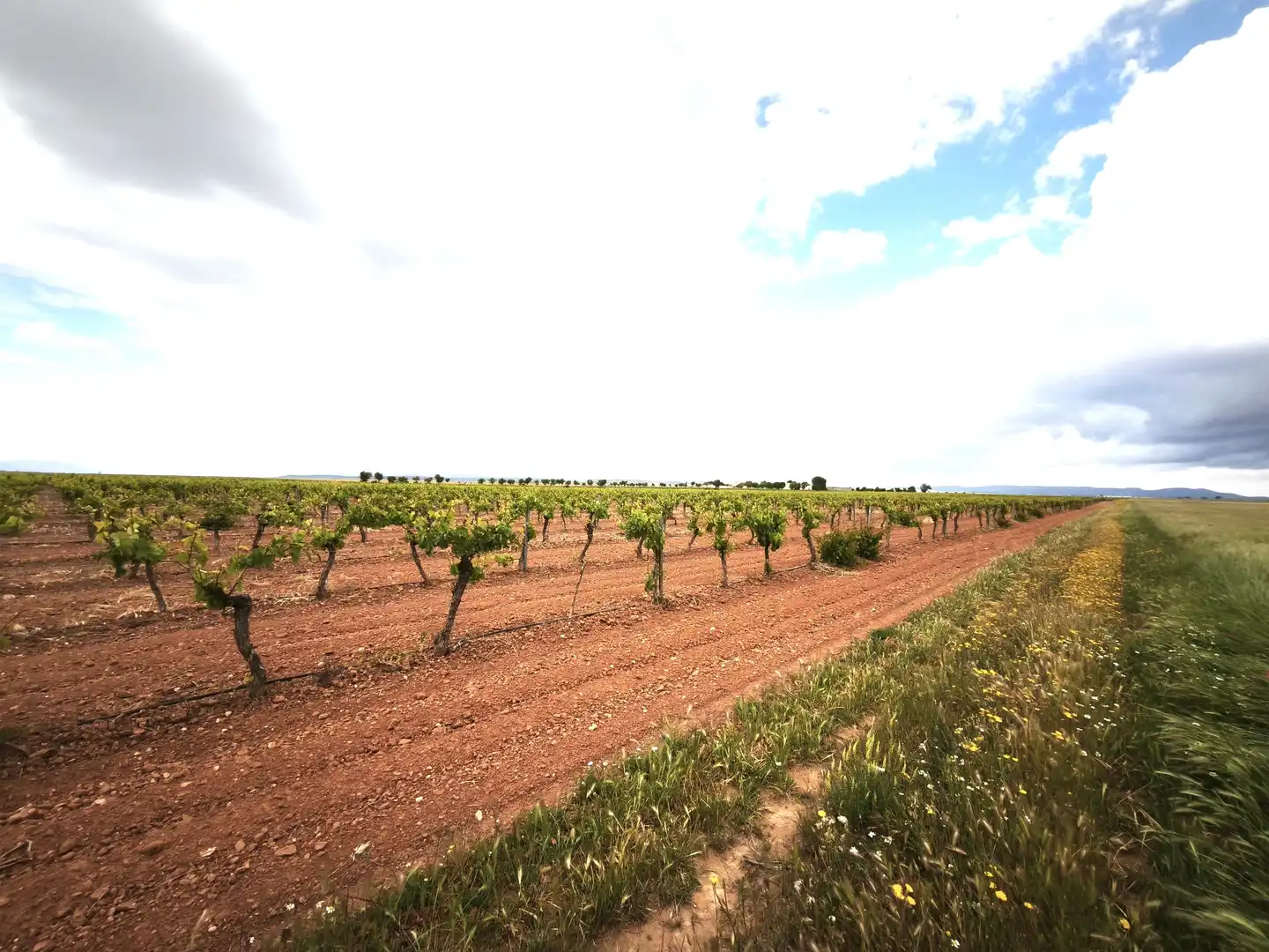 Terreno en venta en Madrid