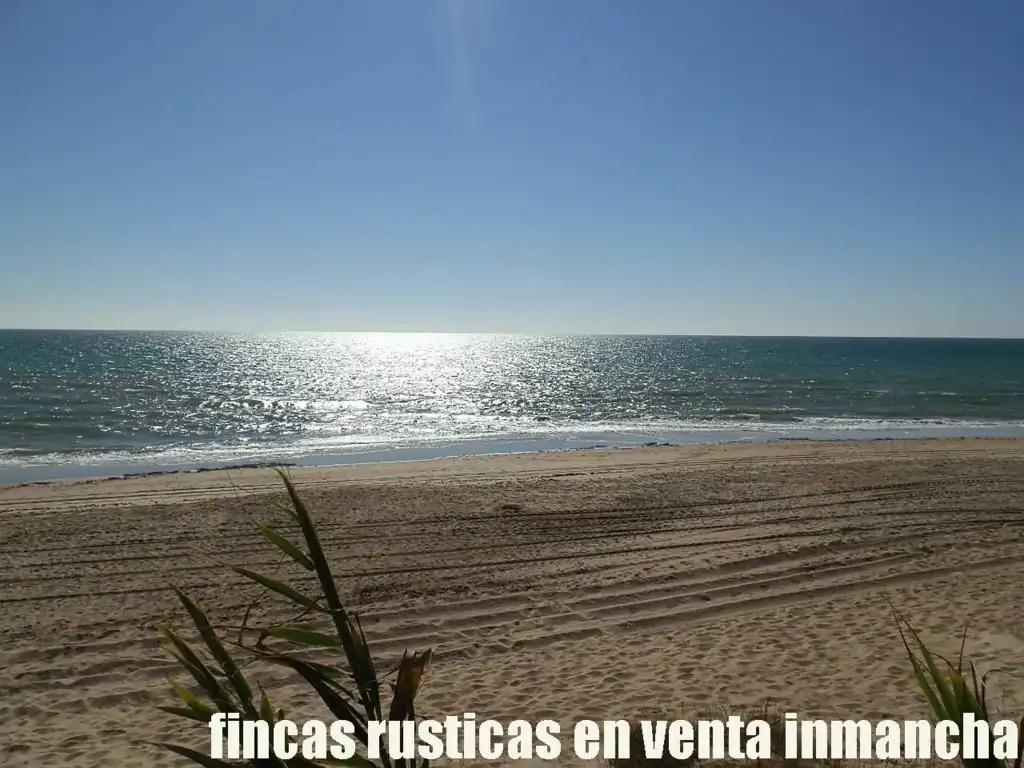 Rural land for sale in Centro - La Costilla, imagen 7