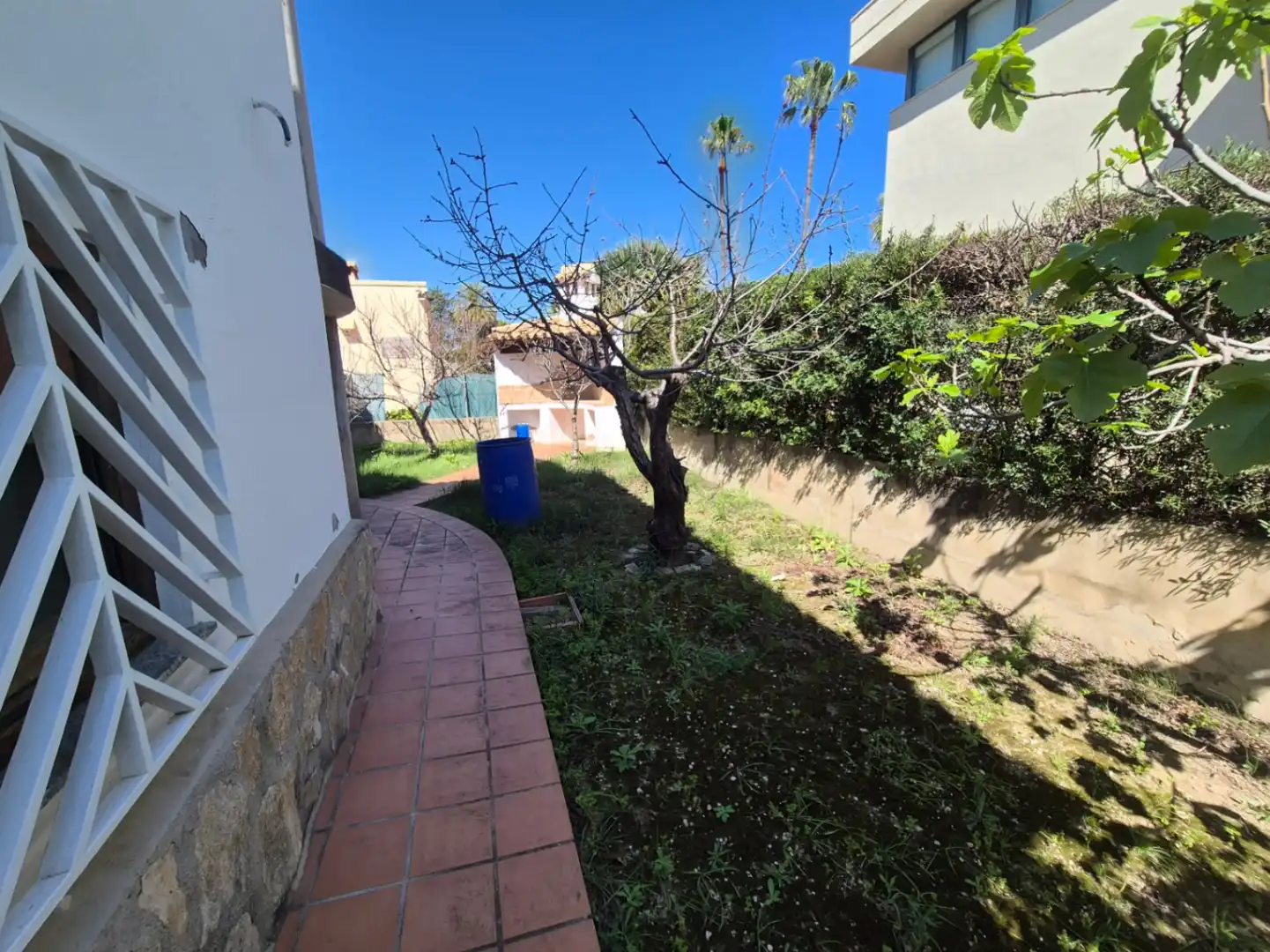 Jardí de Casa o xalet en venda en Oliva amb Jardí privat i Terrassa