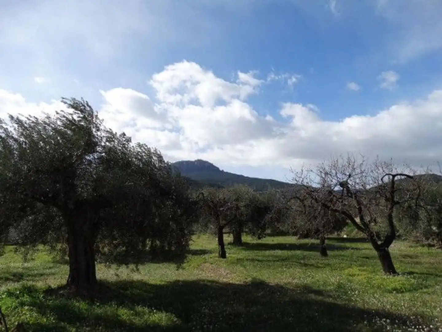 Terreni e lotti in vendita a Moratalla, imagen 6