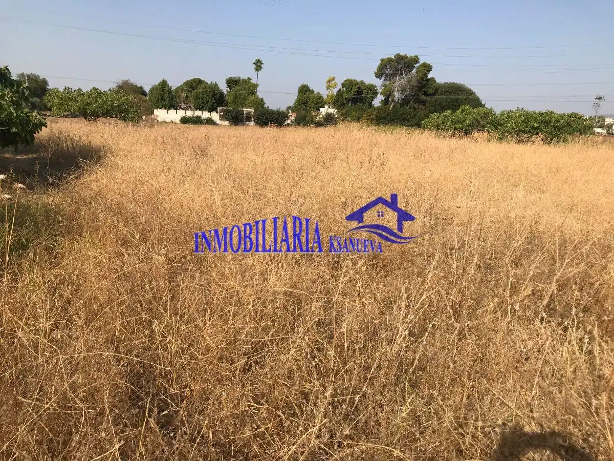 Casa rústica en venda a Periurbano Este - Campiña, imagen 13