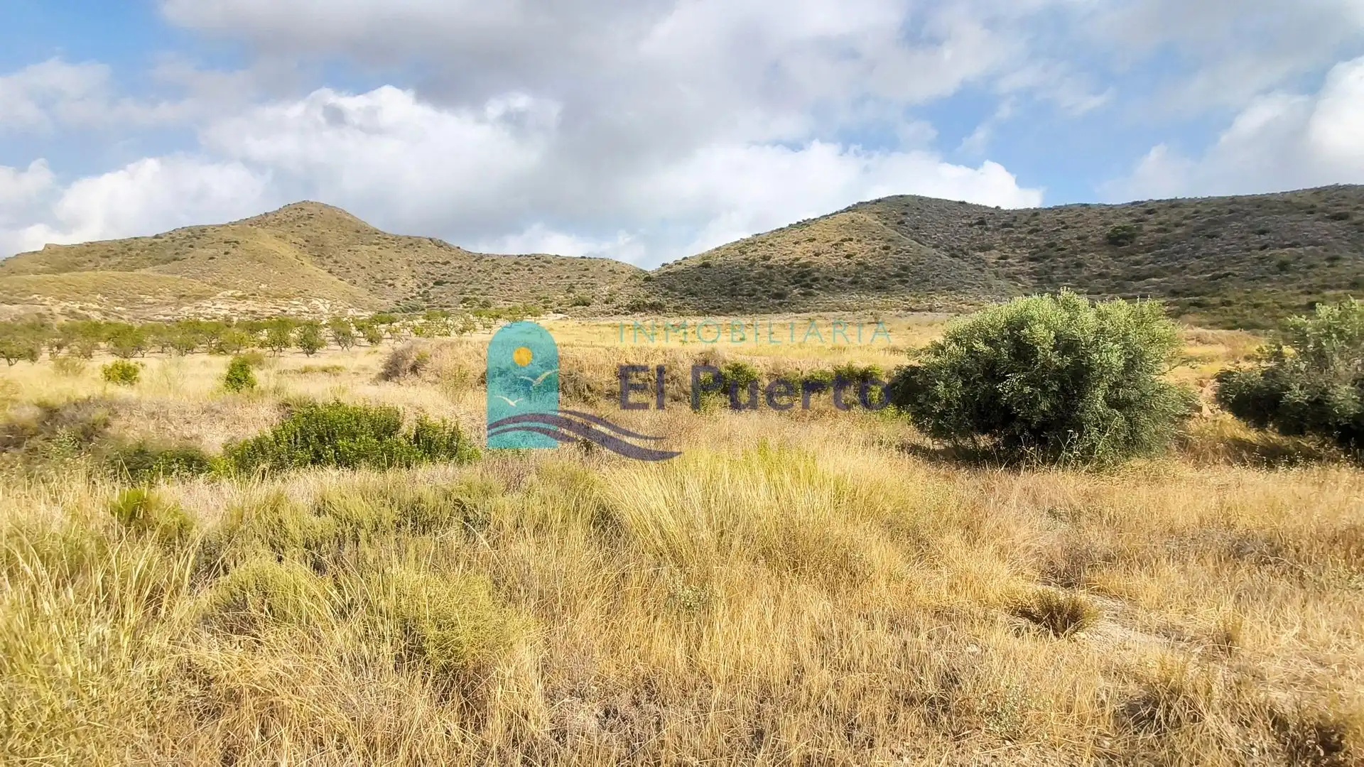 Terreny rústic en venda a Pedanías Sur, imagen 13