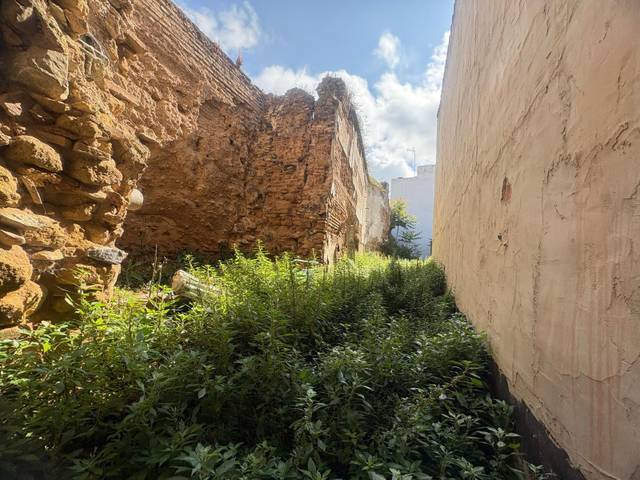 Terreno residencial en Venta en Casco Histórico  - Ribera - San Basilio