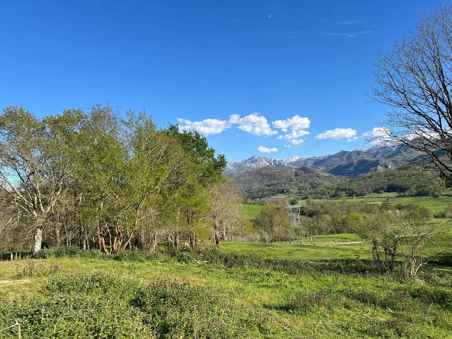 Terreni e lotti in vendita a Cangas de Onís, imagen 7