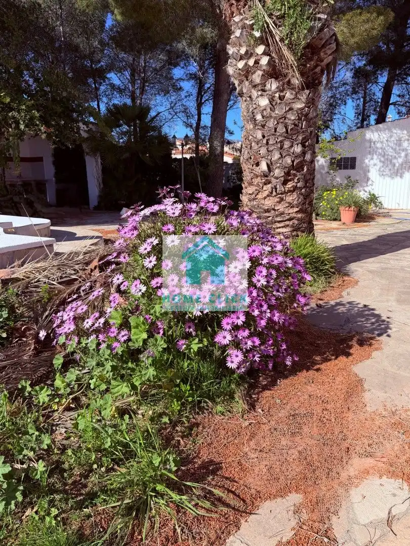 Garden of Houses for rent in L'Ametlla de Mar   with Private garden, Storage room and Swimming Pool