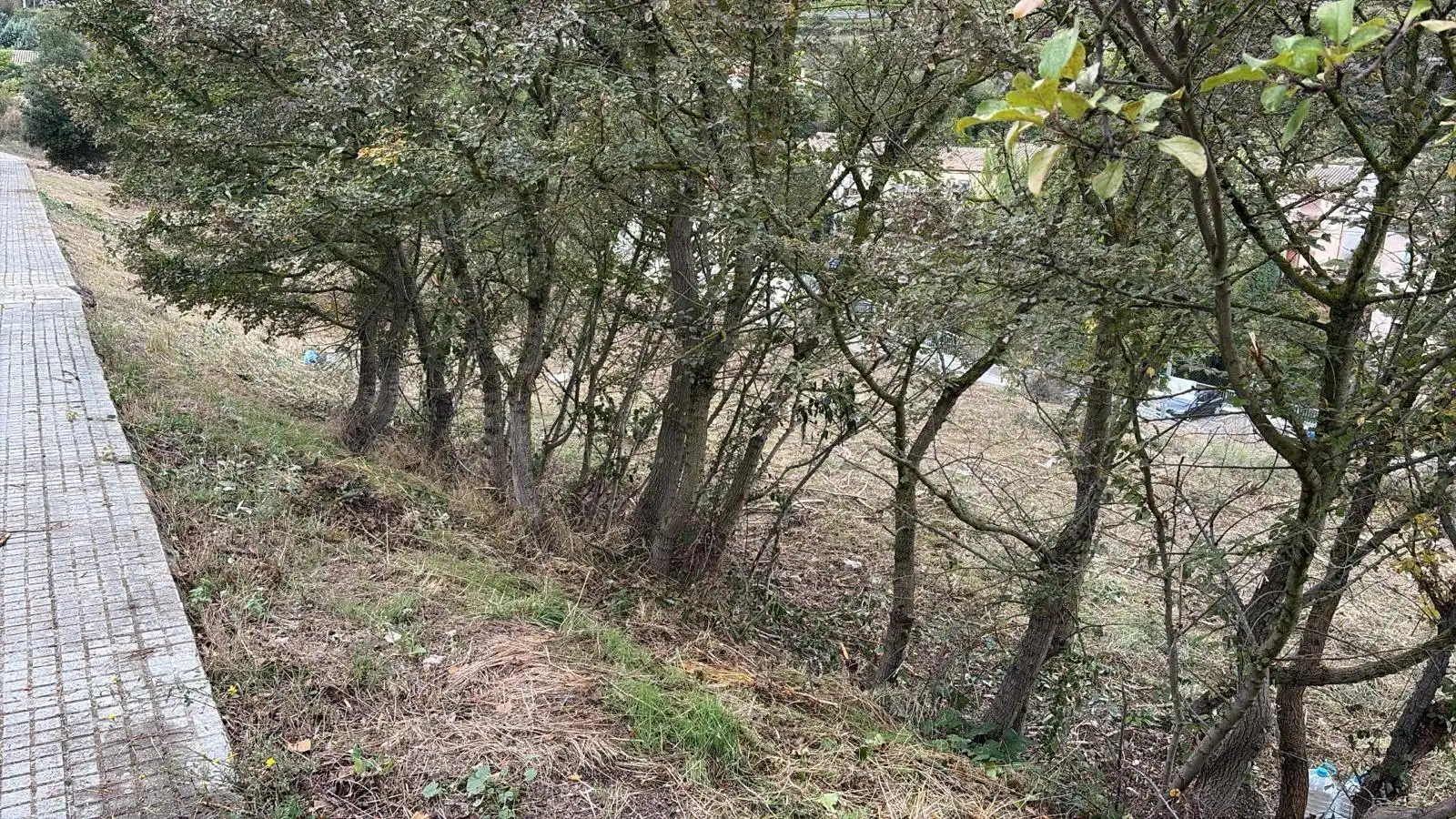 Residential land for sale in Pontons, imagen 5