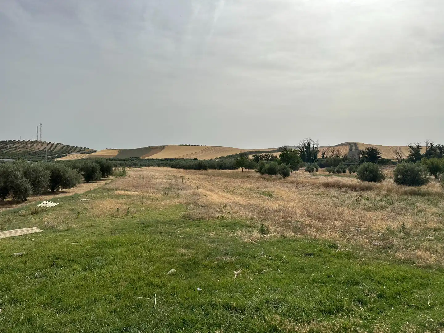 Wohnbaugrundstück zum Verkauf in Chimeneas, imagen 10