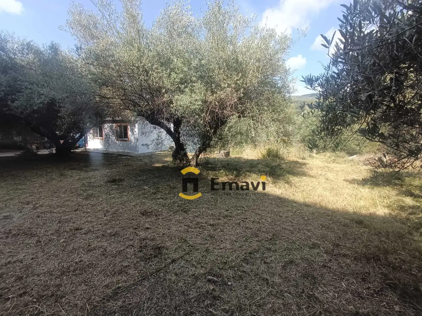 Casa o chalet en venta en Figueroles con Jardín privado y Trastero